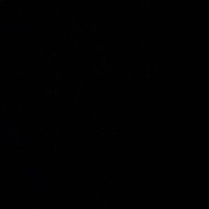 Meet your Posher, Hurley